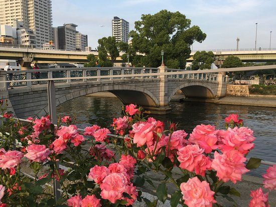 Nakanoshimapark